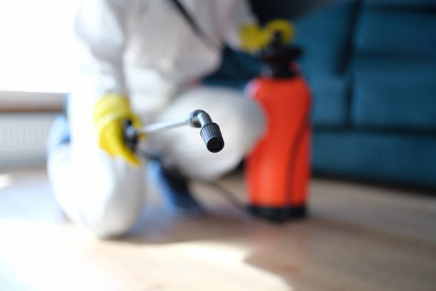 Best Commercial Mold Inspection  in Bradley Beach, NJ
