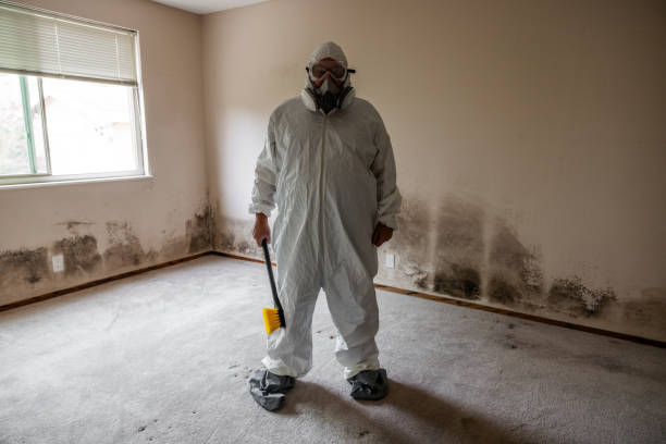 Best Mold Removal for HVAC Installations  in Bradley Beach, NJ
