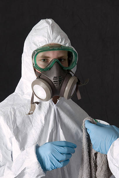 Best Black Mold Removal  in Bradley Beach, NJ